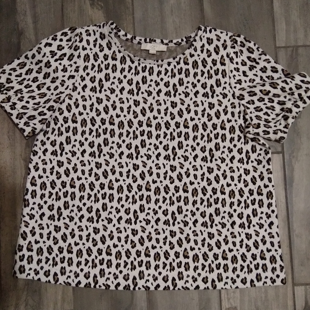 Womans plus size Lepoard print, LOFT sweater top
